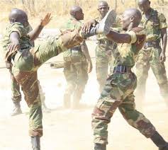 Rogue solider slaps , kicks girfriend