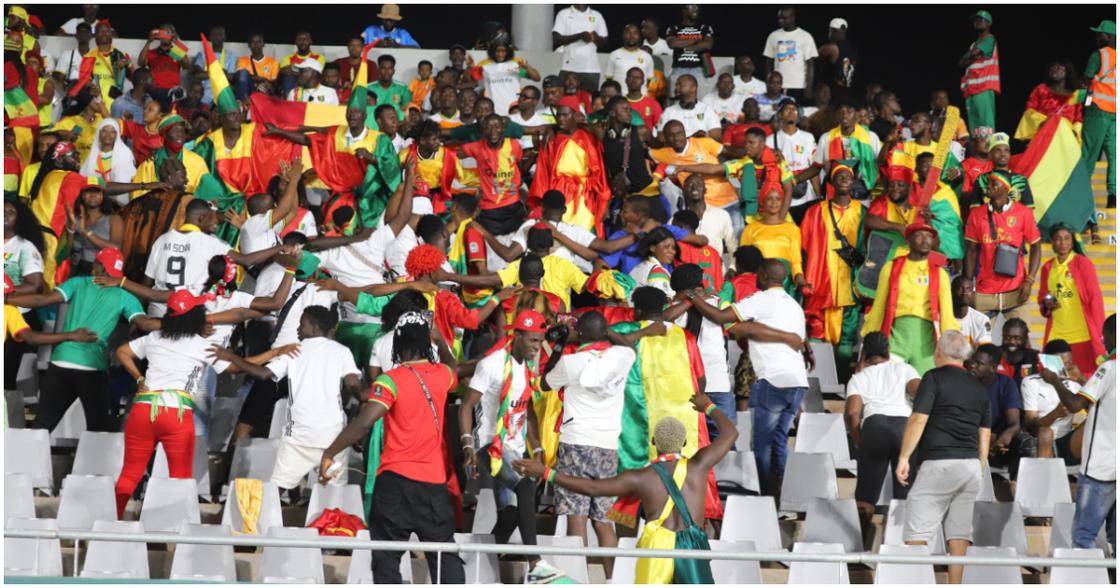 Six Guinea Fans Lose Lives in Celebration of AFCON Victory