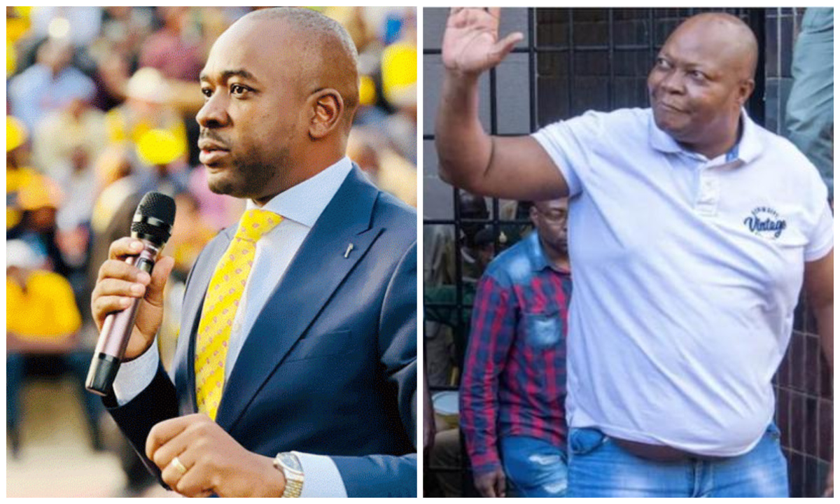 Sikhala's Release Sparks Political Fire: Chamisa Unleashes New Party Name