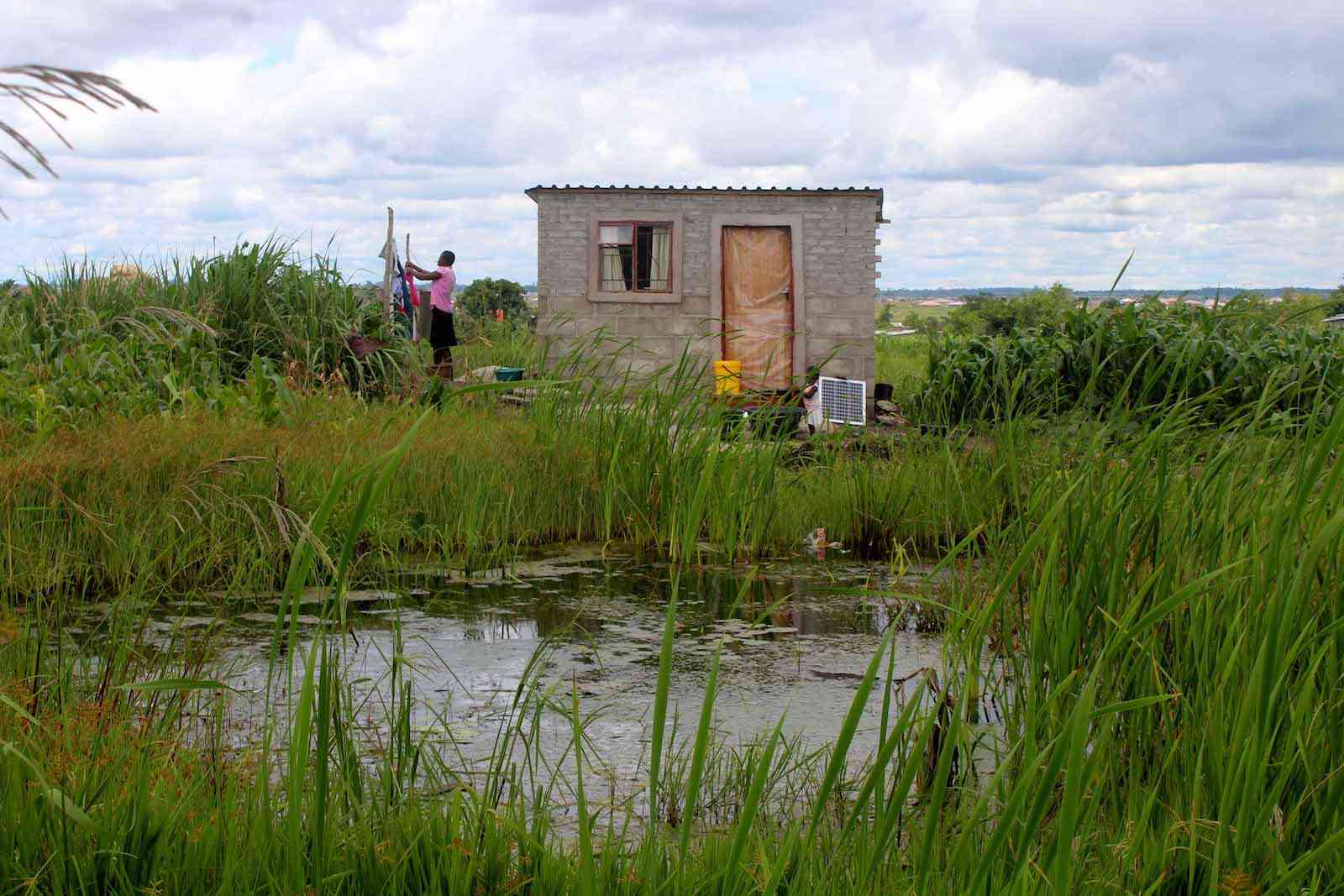 Harare Urged to Revise Master Plan to Safeguard Wetlands