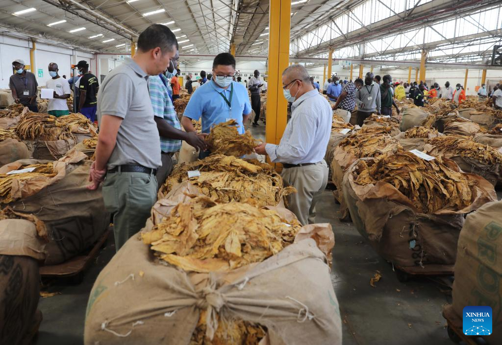 Established Dates for 2024 Tobacco Marketing Season