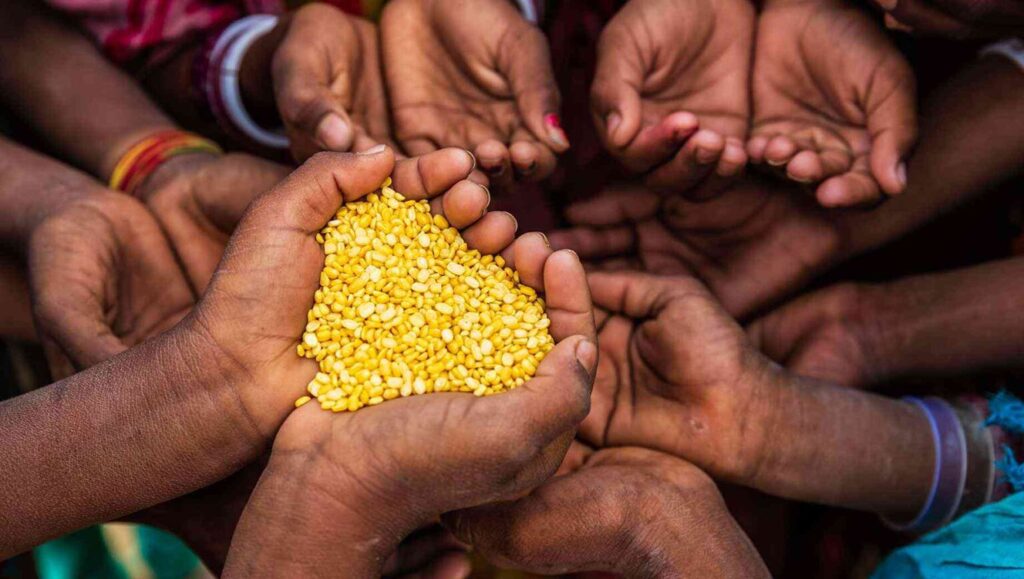 UNICEF Seeks $26.8M Appeal to Combat El Niño Drought Crisis in Zimbabwe