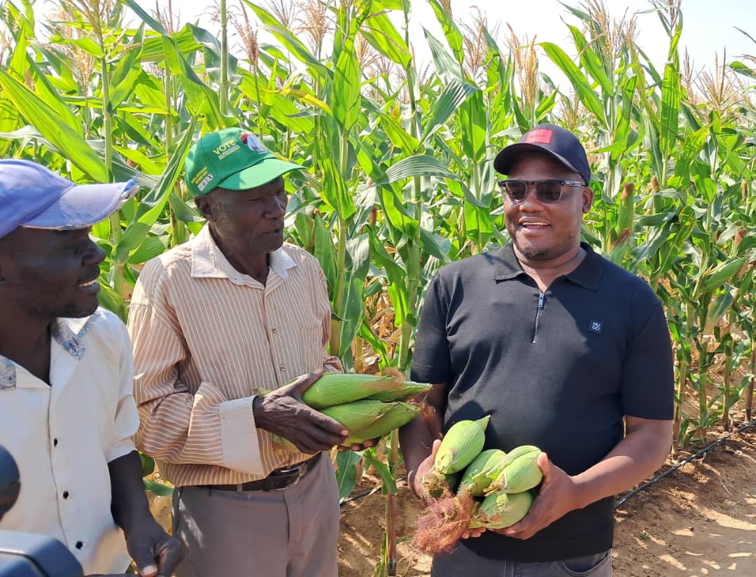 Paul Tungwarara Lauds President Mnangagwa for Advancing Rural Development with VBUs