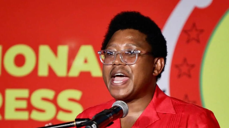 EFF Loses Another Top Leader: Mpho Morolane Resigns. Photocredit-Meta