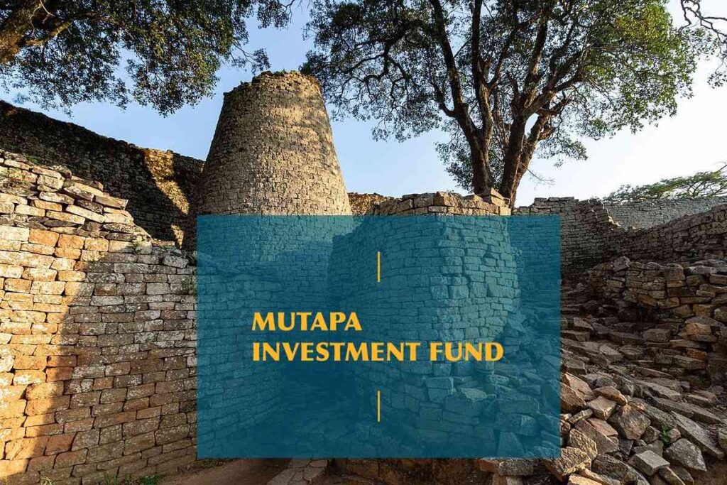 Mutapa Investment Fund Priorities Corporate Governance Reform photo credit Newsday