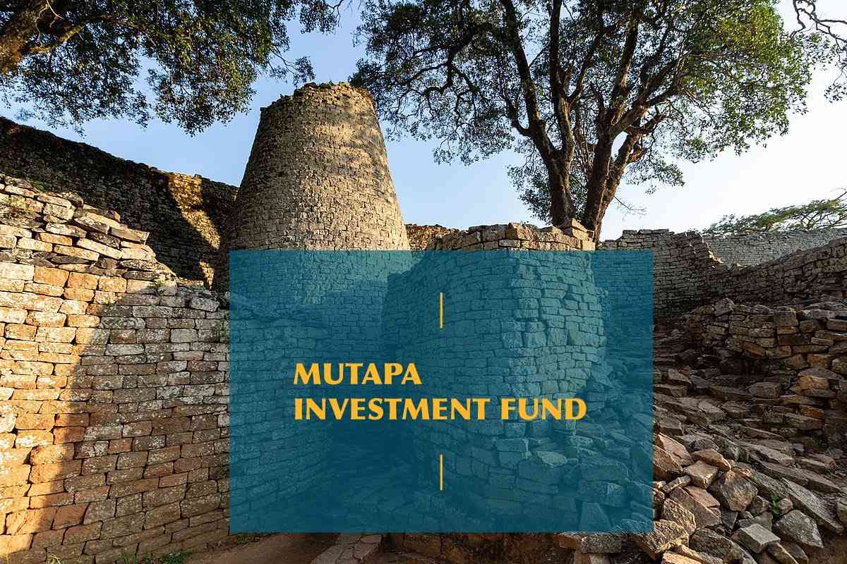 Mutapa Investment Fund Priorities Corporate Governance Reform photo credit Newsday