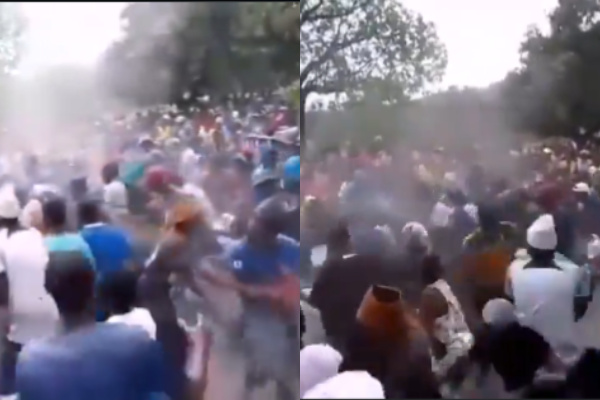 Video: Hwange Residents Rush to Collect Meat from Elephants Culled by Zimparks