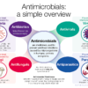 Antimicrobial Resistance: A Silent Global Crisis Threatening Health and Food Security