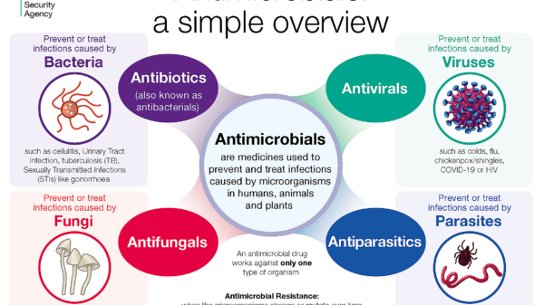 Antimicrobial Resistance: A Silent Global Crisis Threatening Health and Food Security