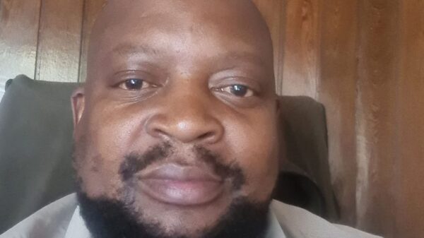 Hamilton Mandizvidza