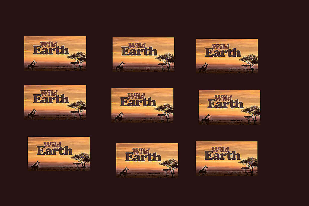 WildEarth Returns to DStv, Bringing the Safari Experience Home