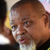Gwede Mantashe Calls for Stronger Action Against Illegal Mining