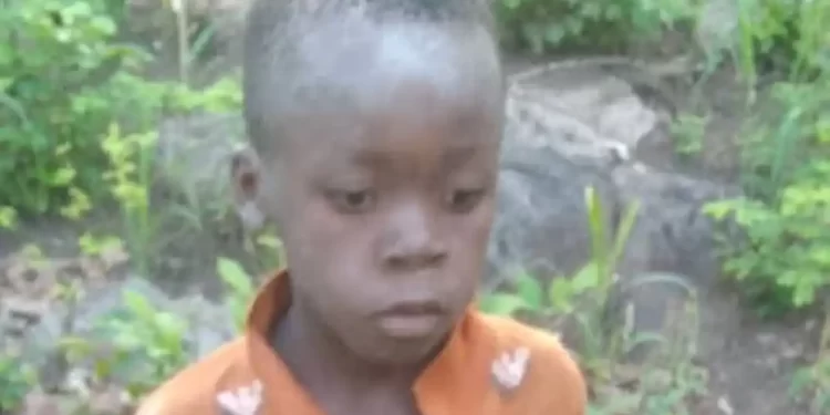 Eight-Year-Old Tinotenda Pudu Defies the Wild: Five Days of Survival in Matusadonha’s Perilous Jungle