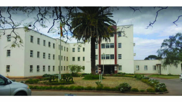 Government Responds to Baby-Swapping Incident at United Bulawayo Hospitals photo credit meta