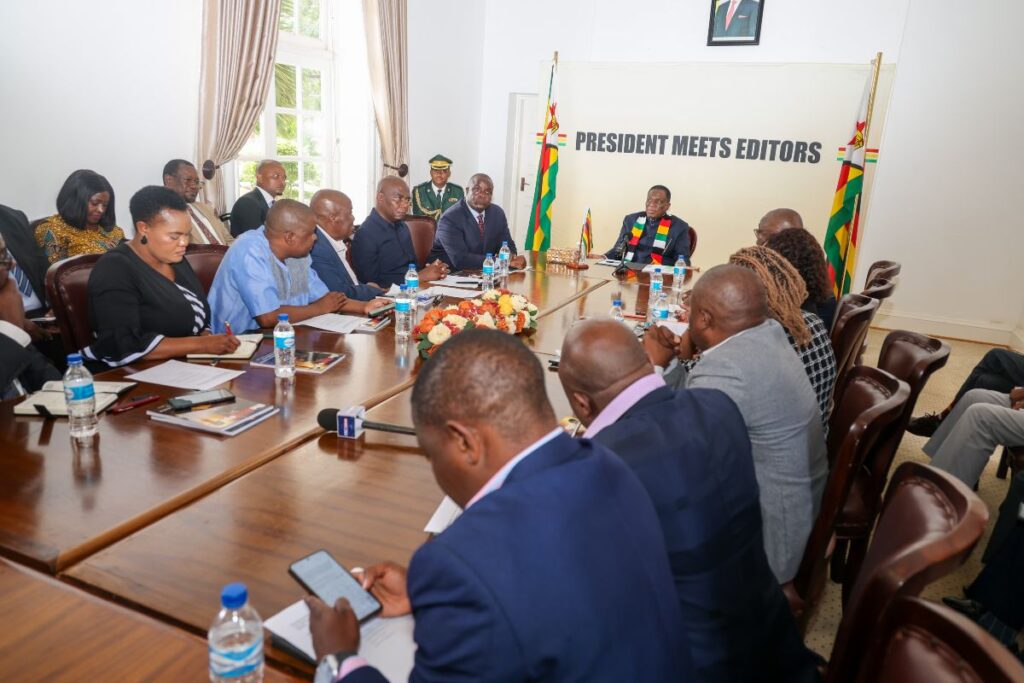 Mnangagwa Pledges to Respect Term Limits, Rules Out Extended Stay