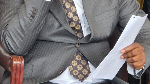 Presidential Advisor Tungwarara Leads Charge Against Anti-Zimbabwe Propaganda