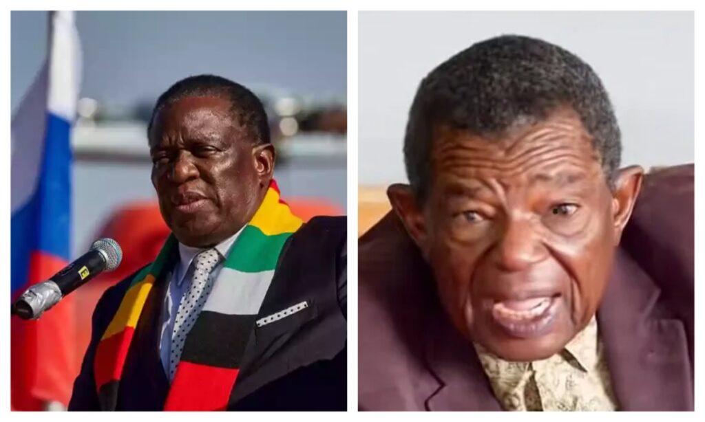 Blessed Geza Faction Vows to Oust Mnangagwa via Protests