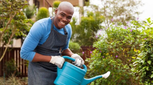 Experienced Gardener Wanted